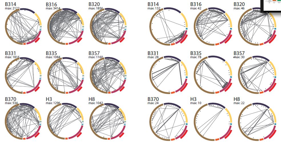 Tracking mobile elements between commensals and pathogens in the gut microbiome