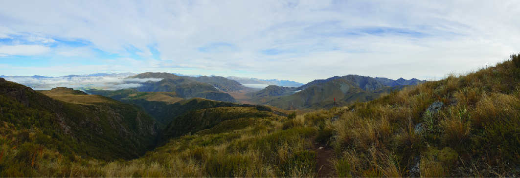 Insights from a Visiting Fellowship at The University of Canterbury, New Zealand
