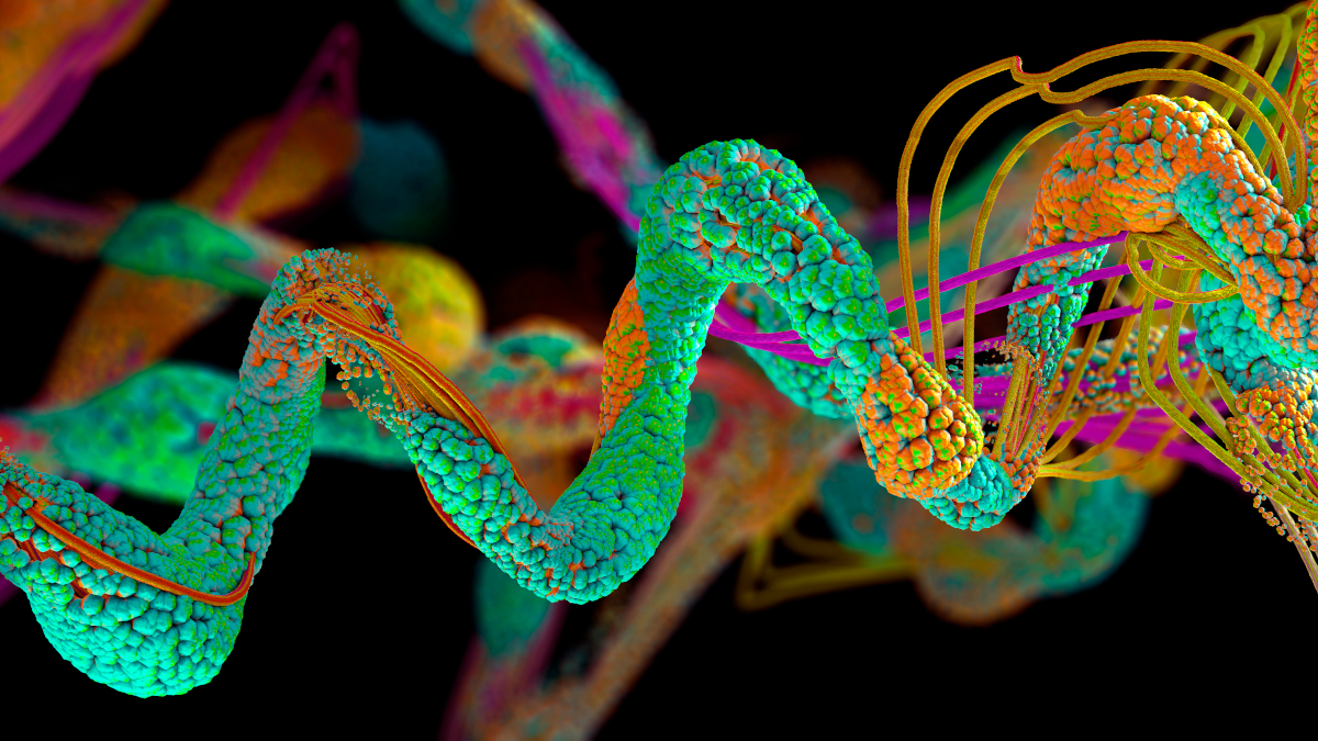 Call for papers: Emerging Post-Translational Modifications