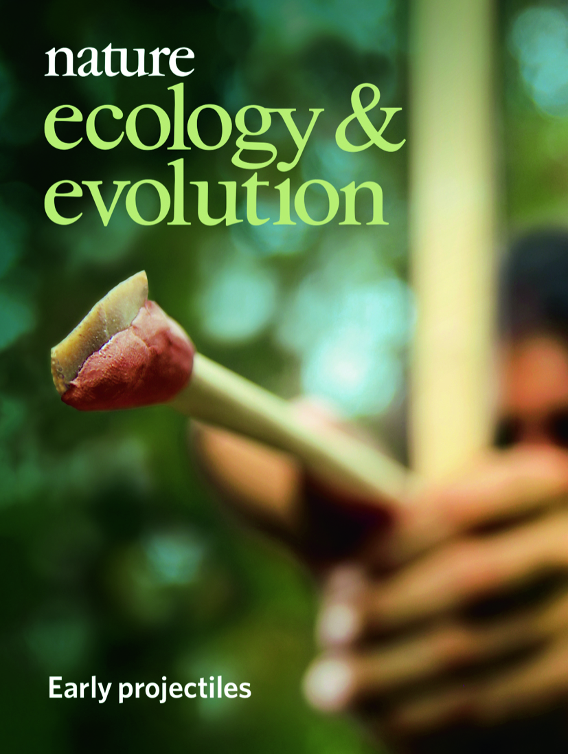 Gallery | October 2019 cover