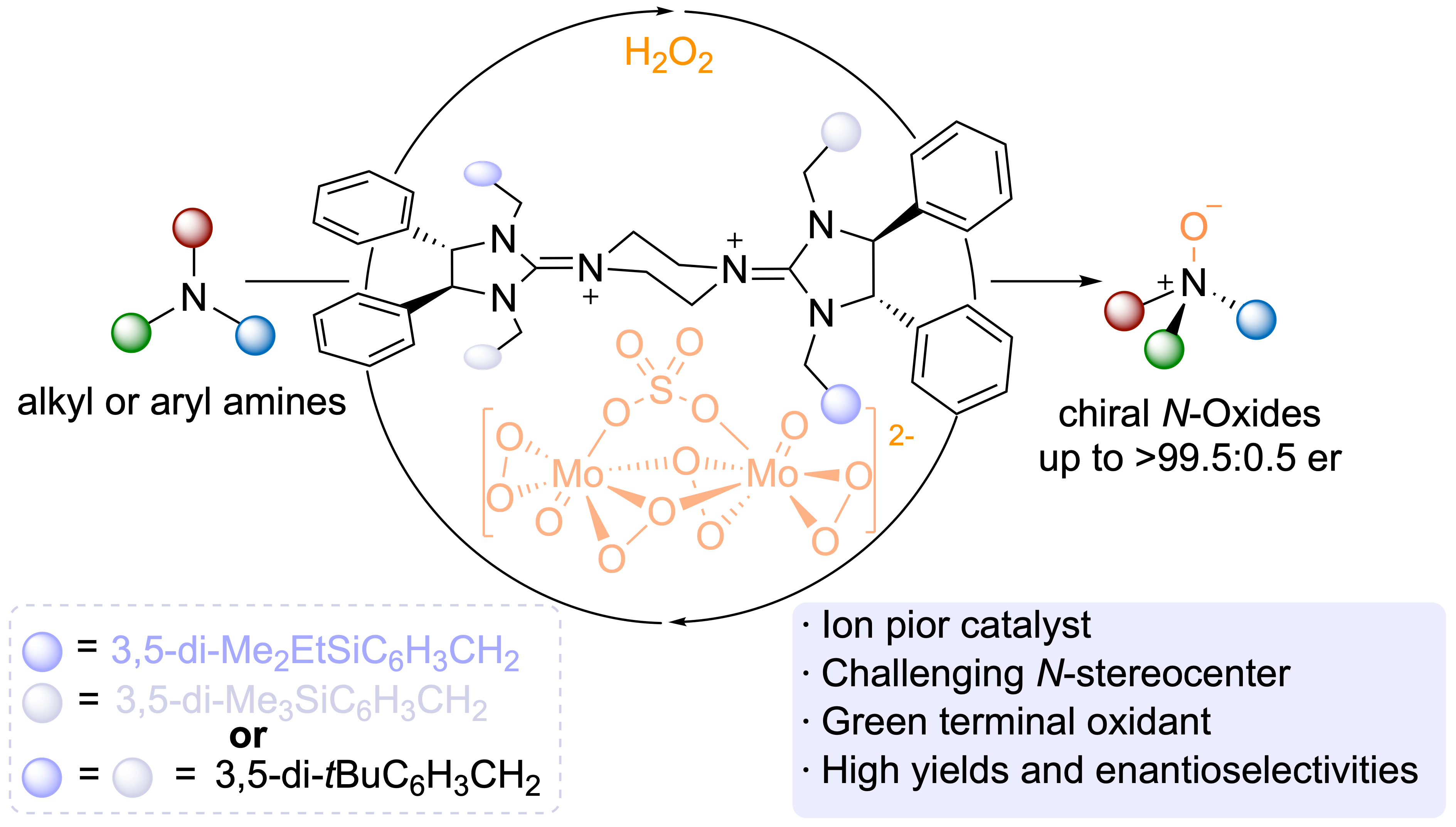 Advancing Asymmetric N-Oxidation: A Breakthrough in Catalytic Synthesis