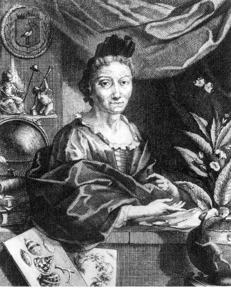 Maria Sibylla Merian (1647-1717)