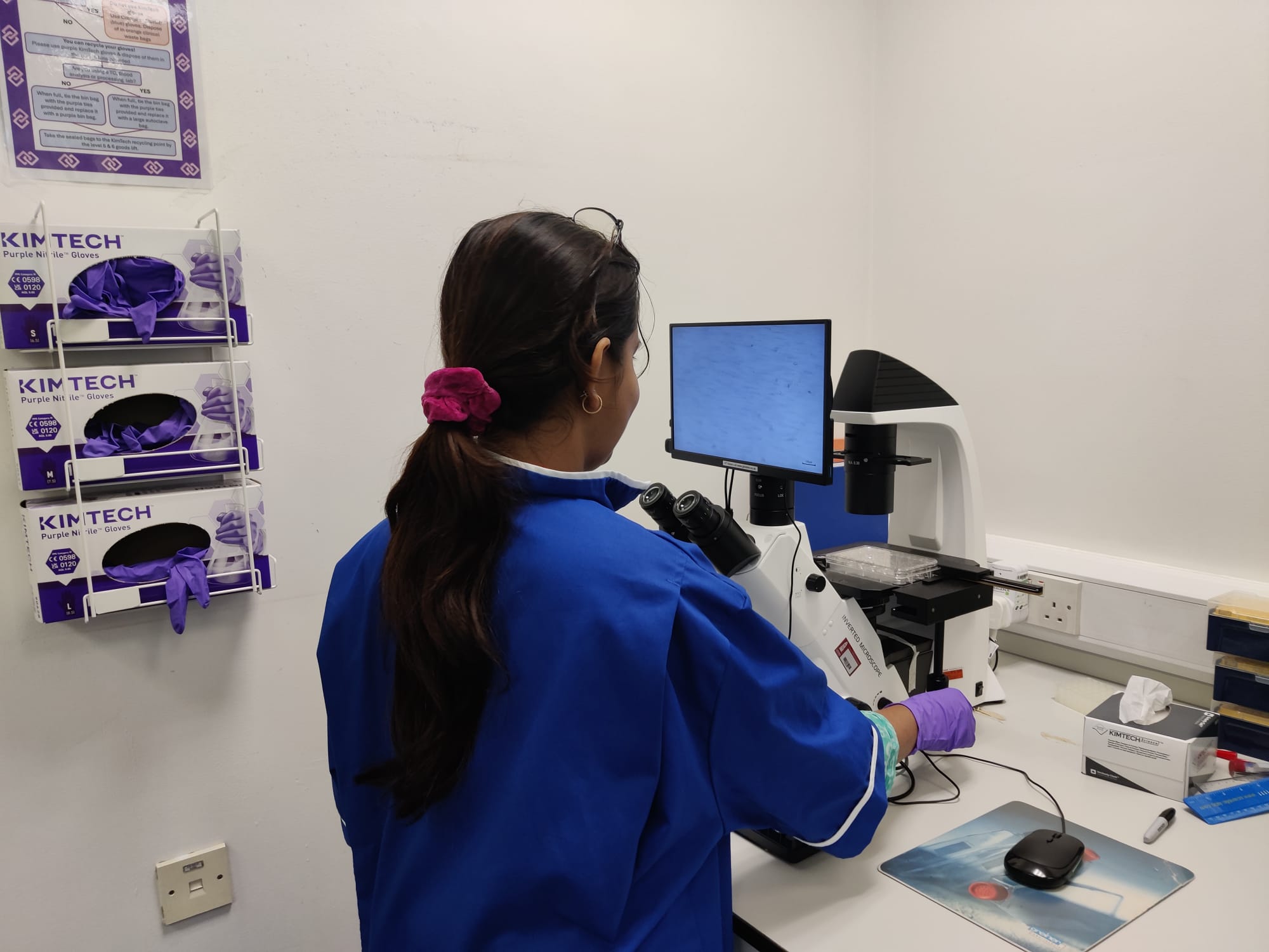 Week 2 of Research at Leeds: All About Cell Culture 