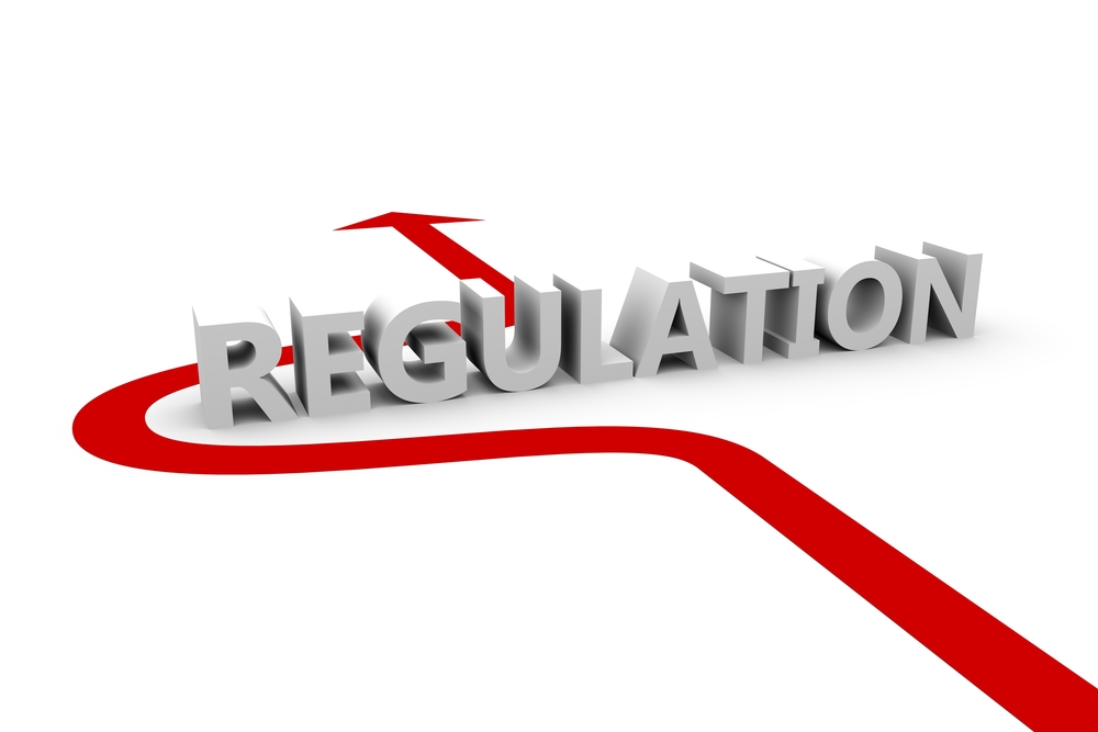 ECJ hearing in the “Cyprus route” -who is the employer??