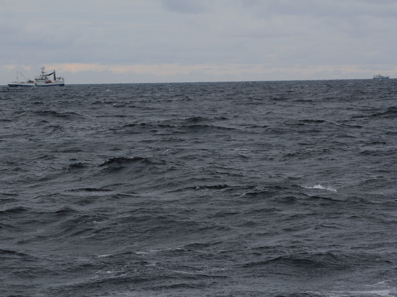 Big fish trouble in Europe, especially the Mediterranean
