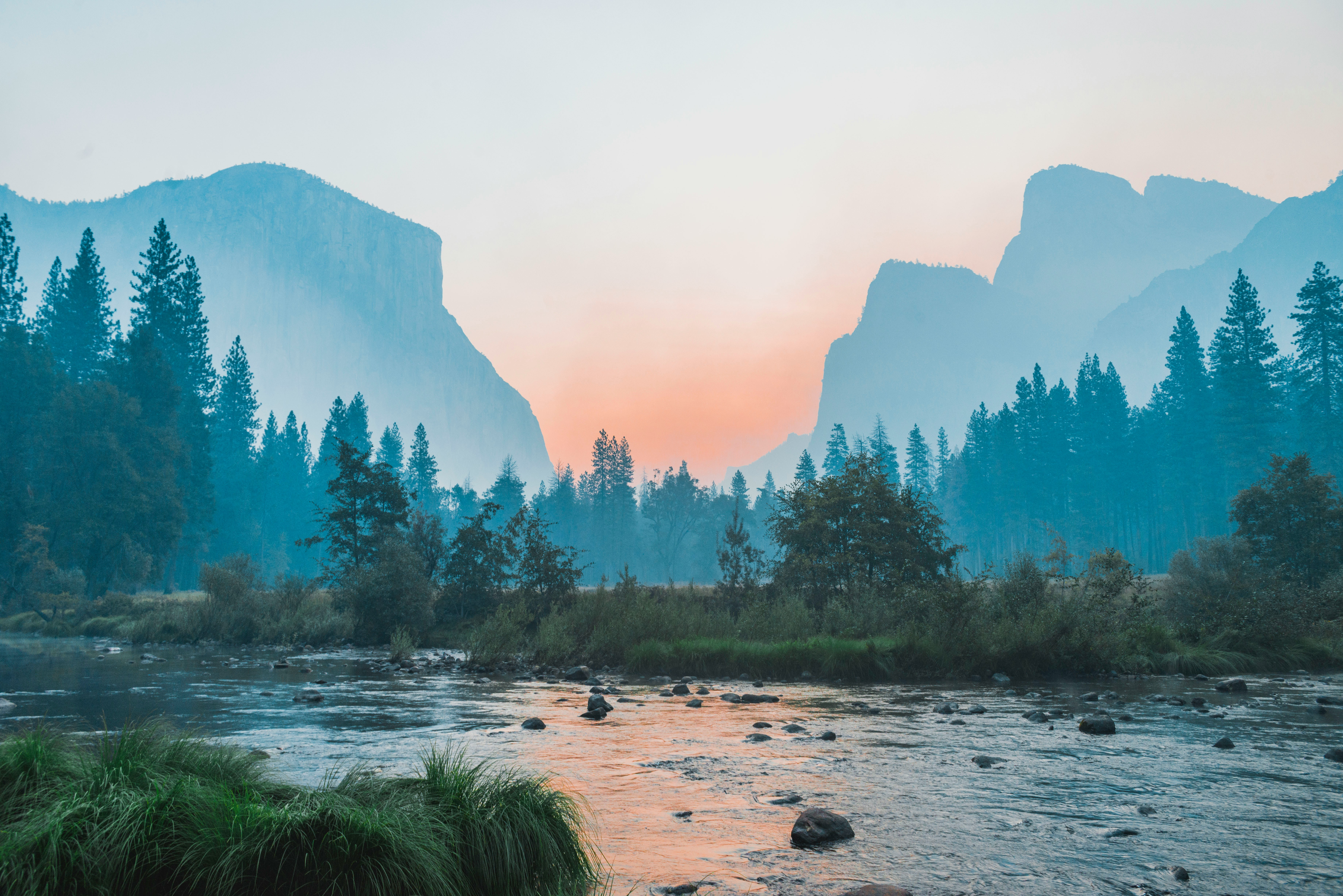 Intro: Project management for wildlife student