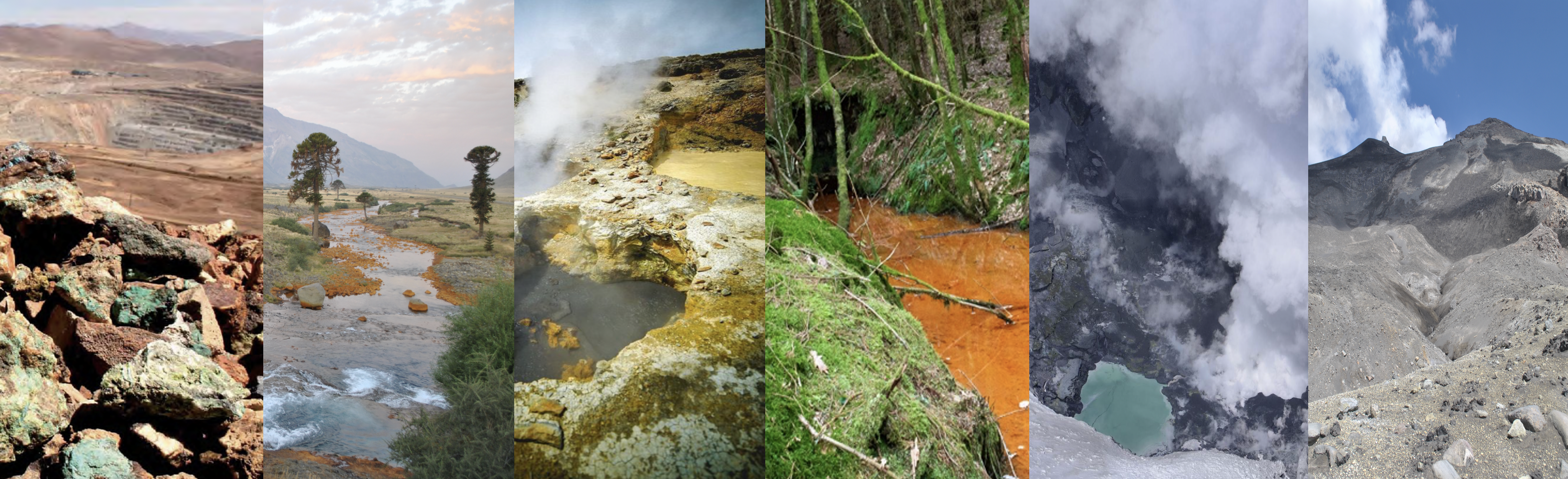 Deep-branching Proteobacteria diversifying in extreme acidic environments