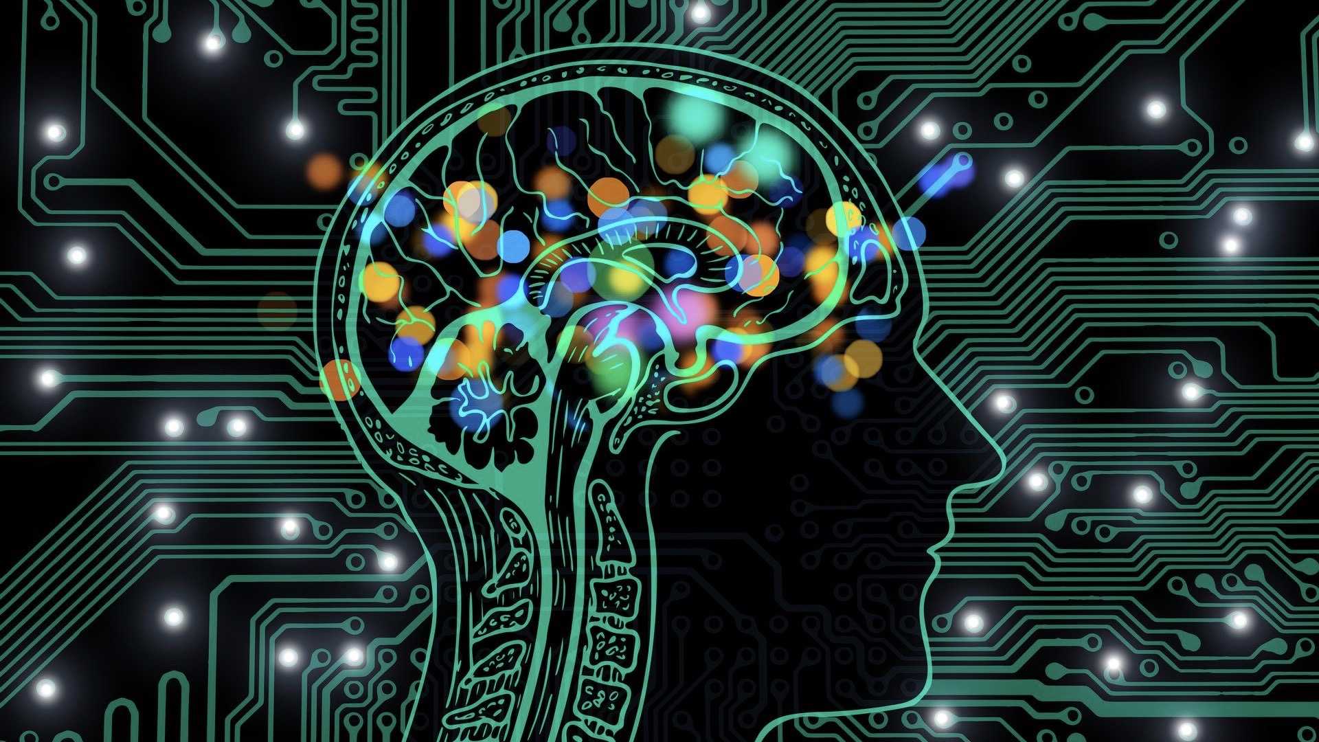 Do tests effect learning?