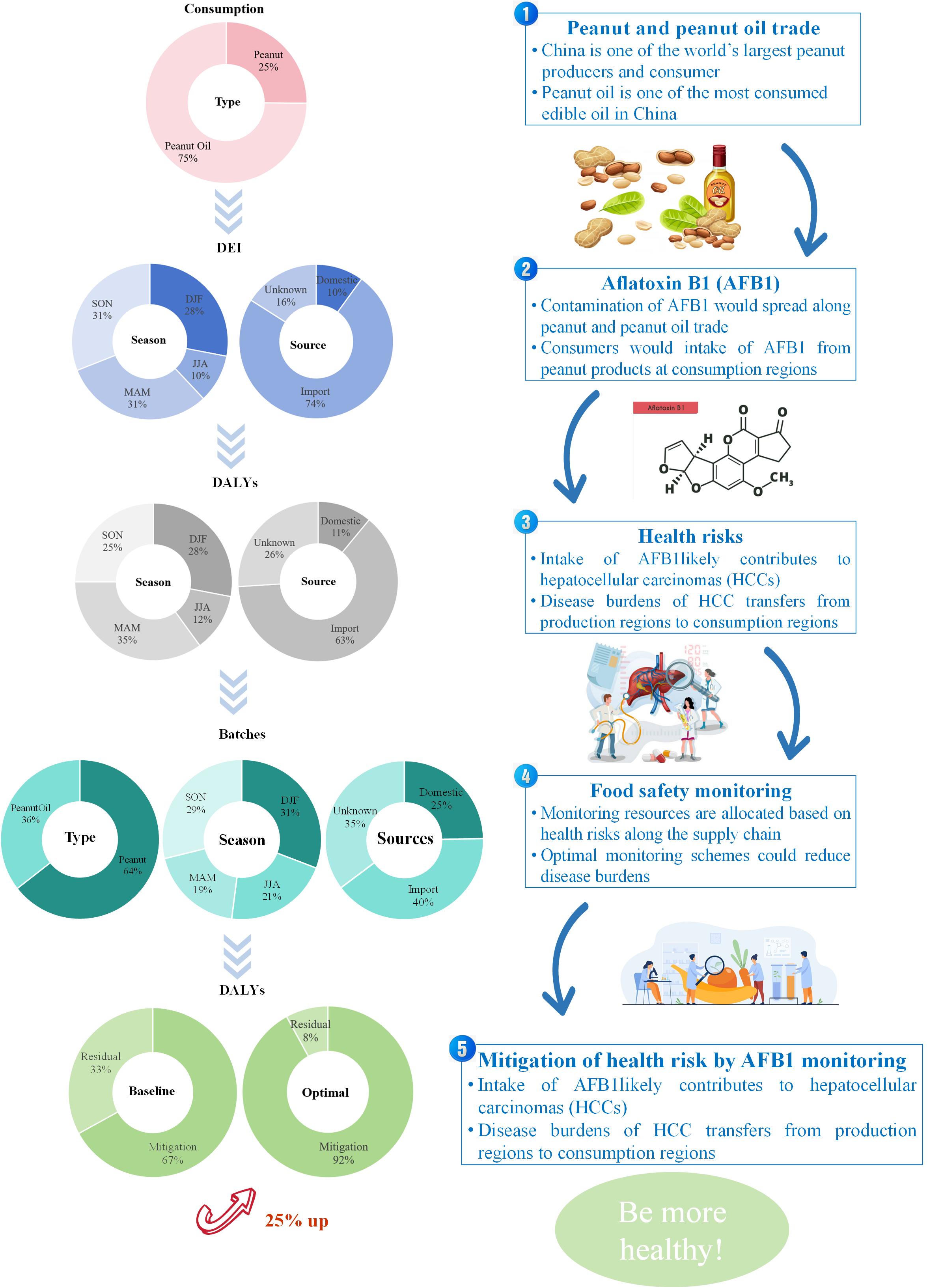 Revealing spatiotemporal distribution of aflatoxin B1-related health burdens to optimize monitoring in peanut supply chains