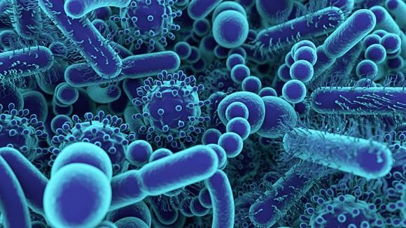 Editors' Highlights in Biological Sciences