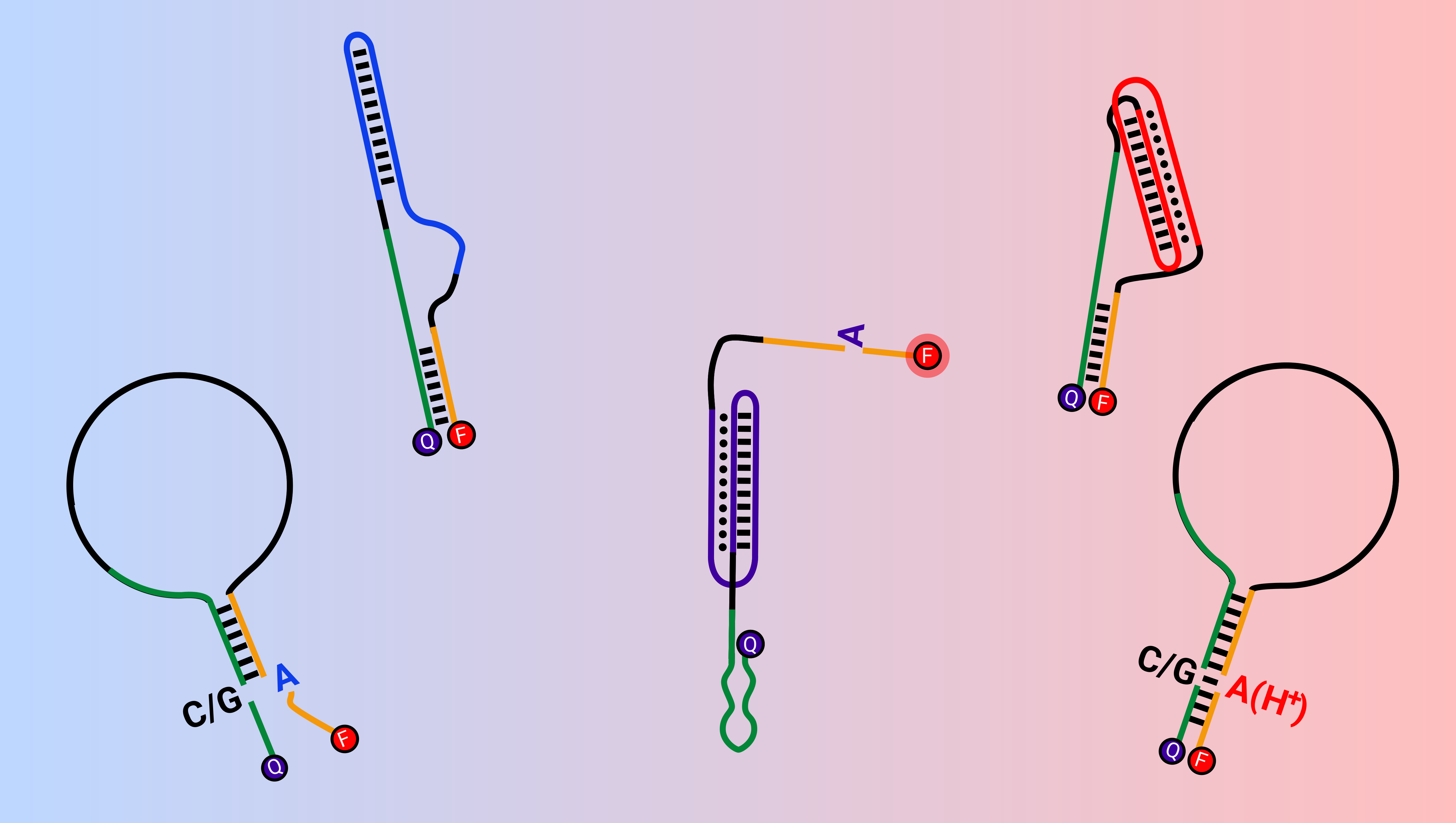 A tunable toolkit for pH-responsive aptamers