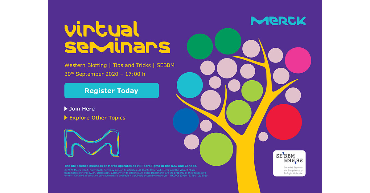 Merck & SEBBM Live Webinar: "Western Blotting, Tips & Tricks"