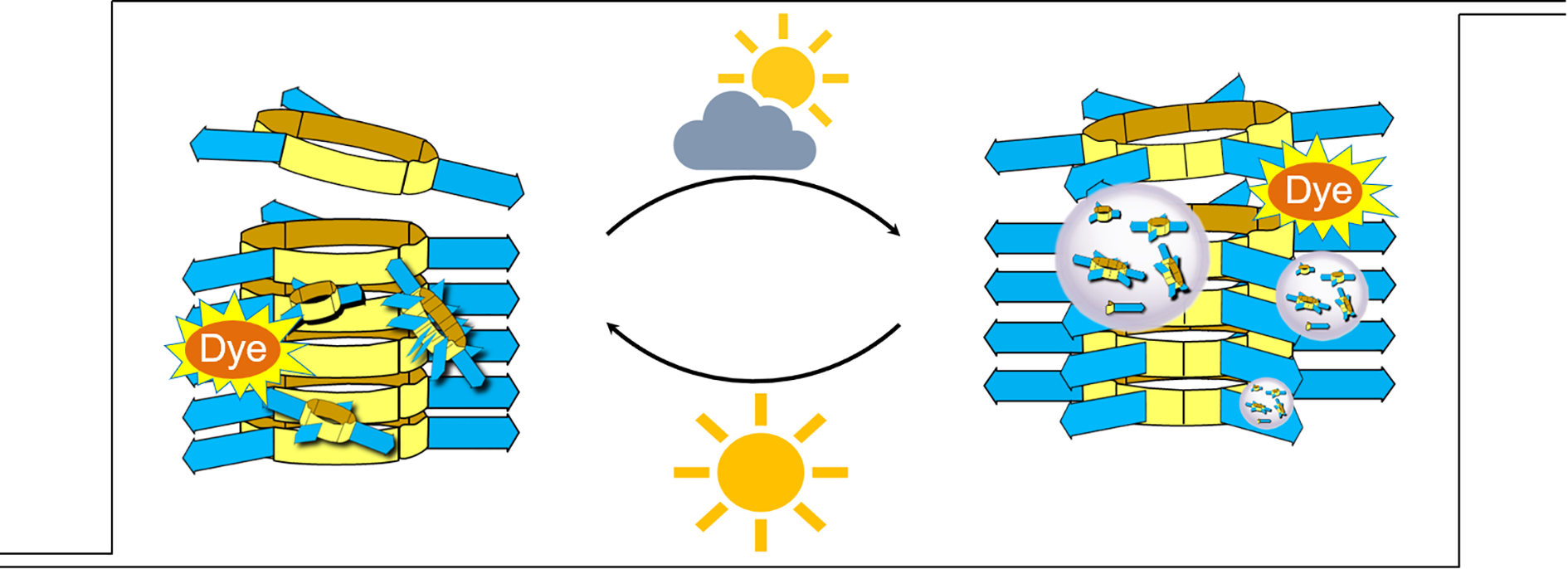A synthetic replicator system undergoing Darwinian-like evolution