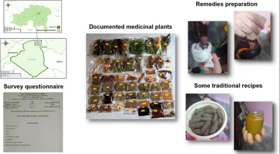 A medicinal tradition still full of discoveries