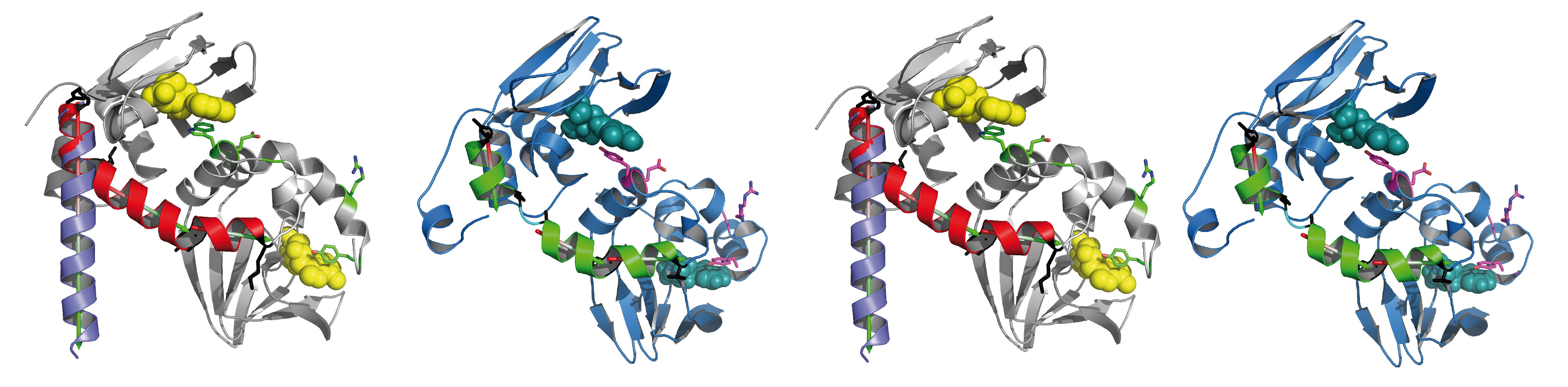 Protein kinase A breaks the rules in trypanosomes