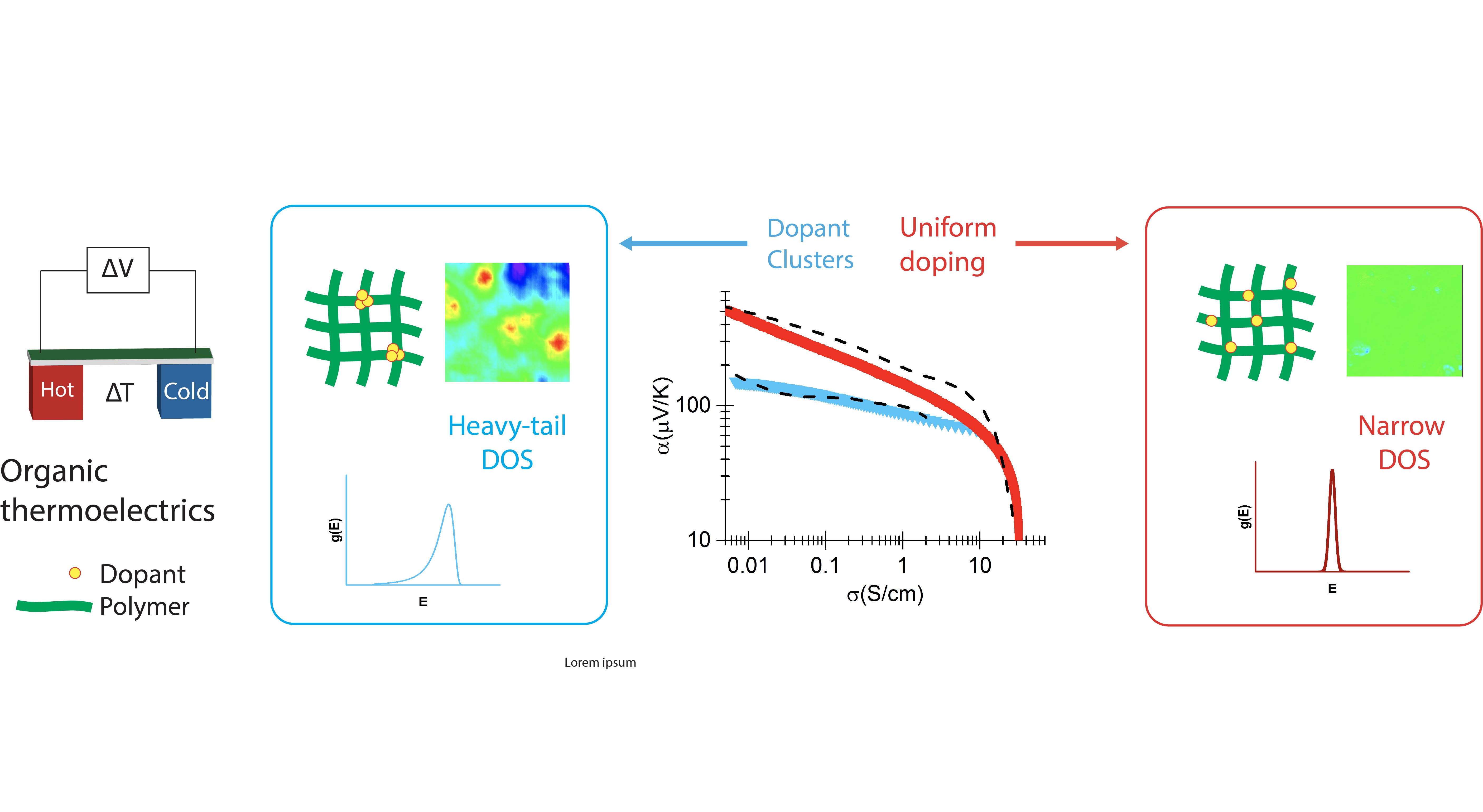 Changing Doping Paradigm in Polymer Thermoelectrics