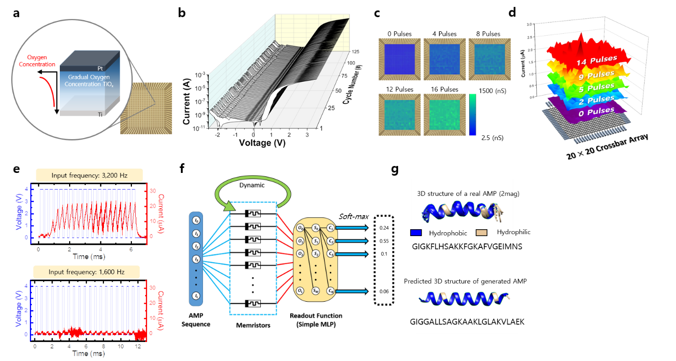 Highly reliable dynamic memristor array for neuromorphic computing