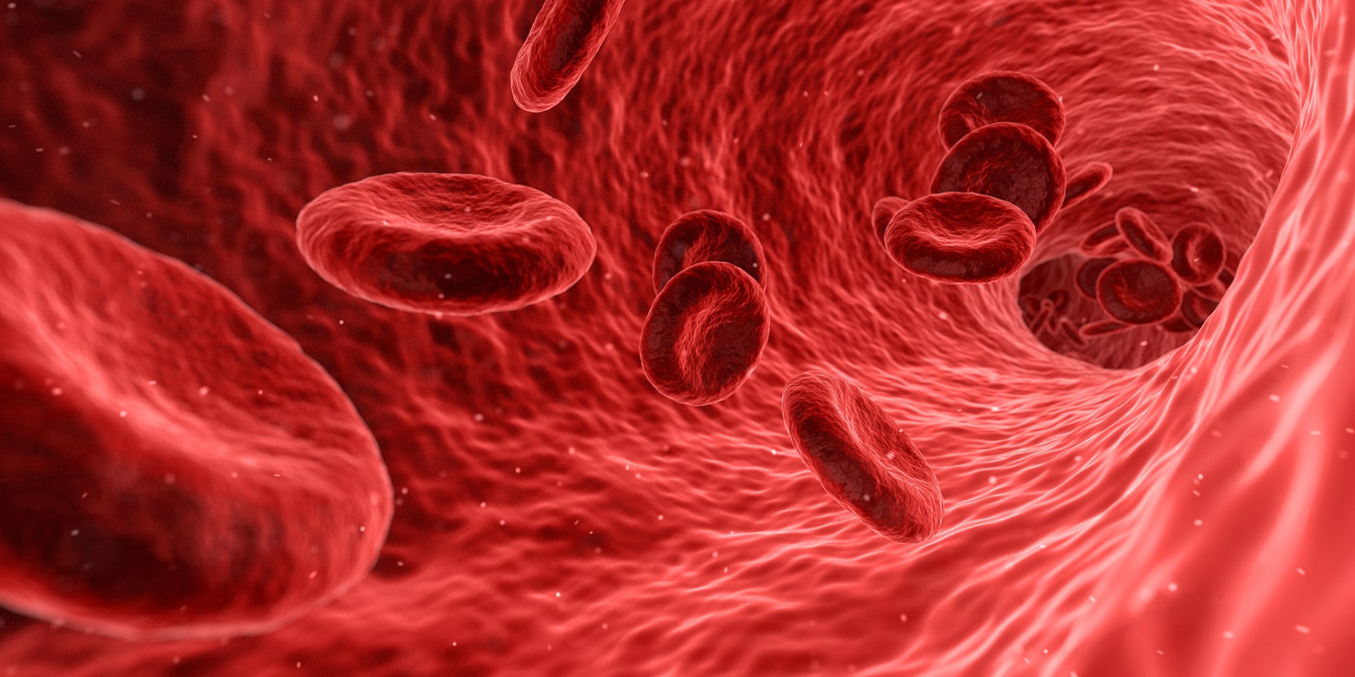 Microgravity accelerates red blood cell aging
