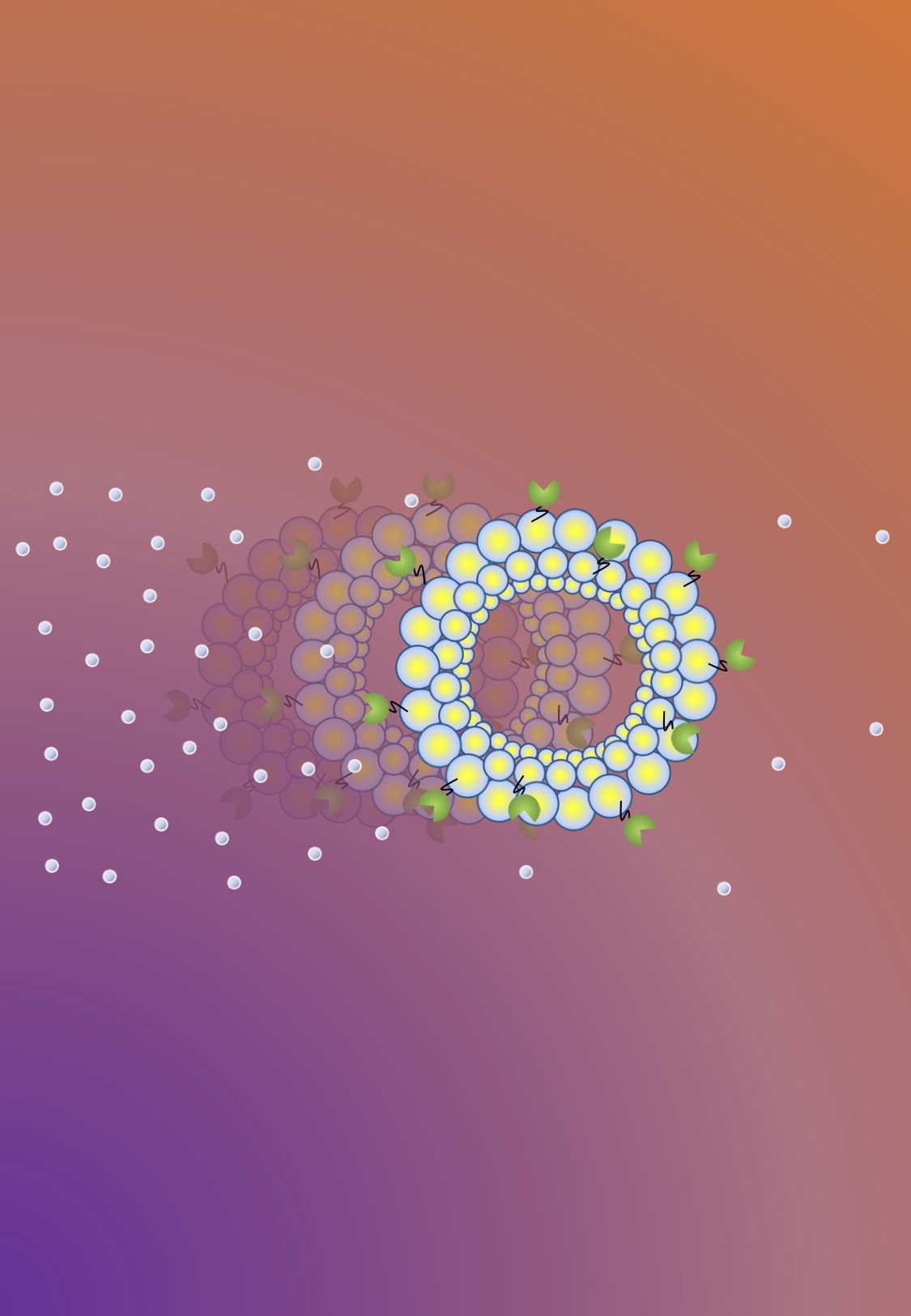 Chemical gradients as directional controls for autonomous protocell motors