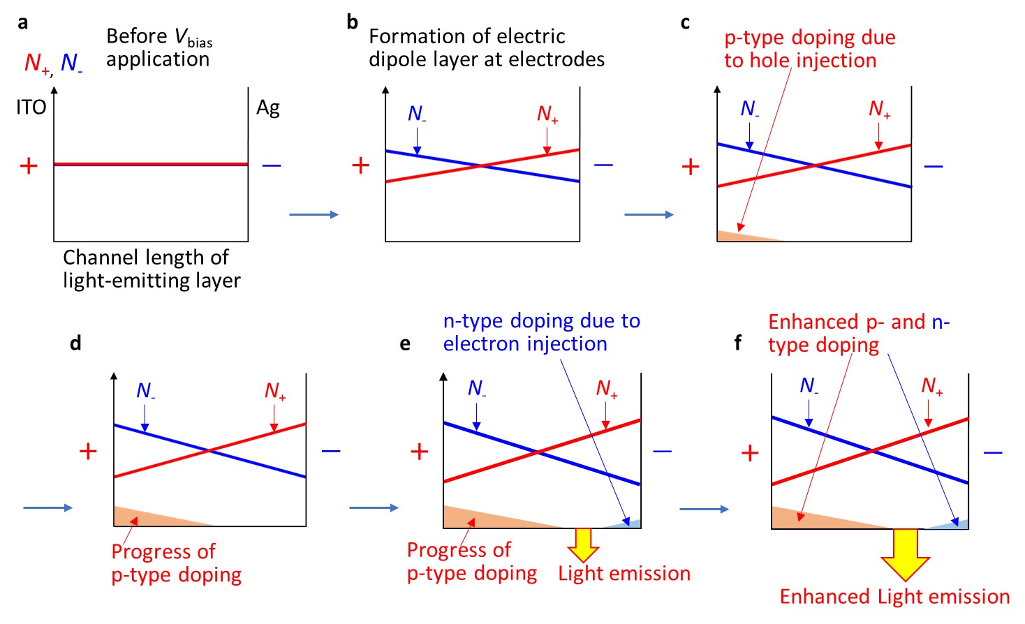 Operation Mechanism of Light-emitting Electrochemical Cells: A Cheaper Alternative to Organic Light-emitting Diodes