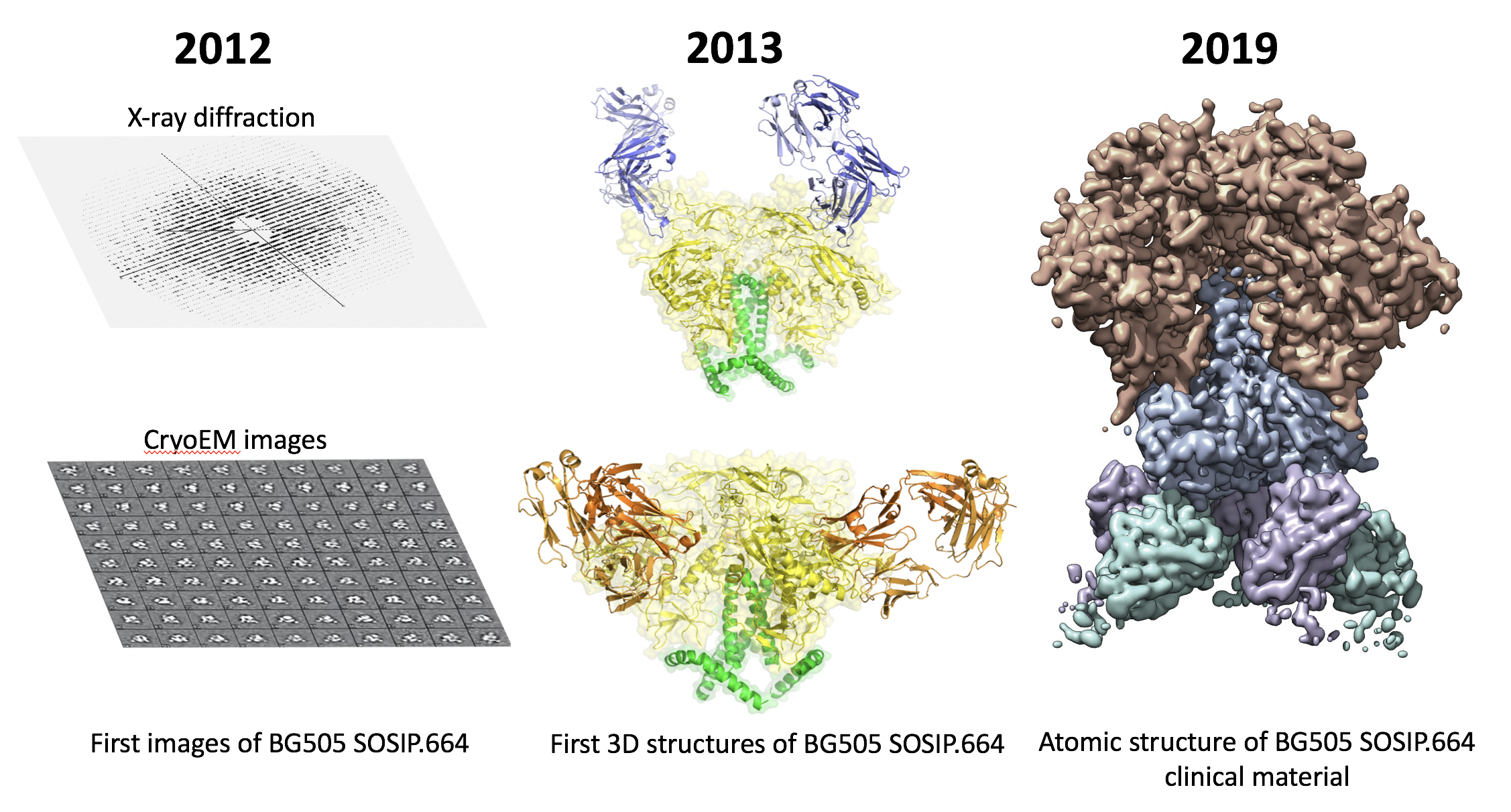 After the Paper: Solving the Structures that Drive HIV Vaccine Design