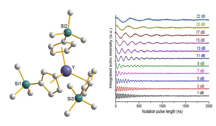 Studying the phase memory times of esoteric metal complexes