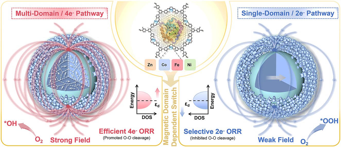 Bioinspired Molecular Magnetic Field-Responsive Catalyst for On-Demand Switching of 2e− and 4e− Oxygen Reduction