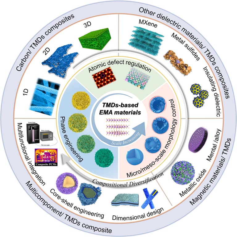 Advances in TMDs-Based Electromagnetic Wave Absorbers: From Structural Engineering to Multicomponent Synergy