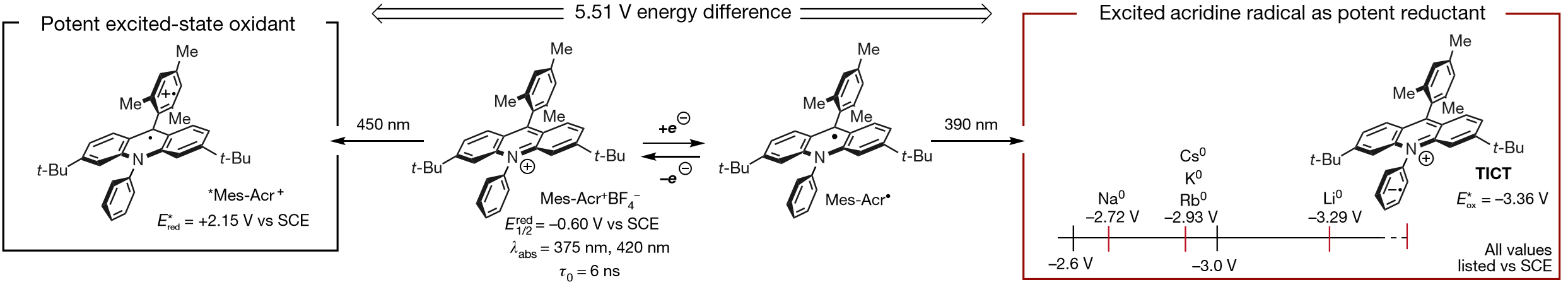 Discovery and Characterization of an Acridine Radical Photoreductant