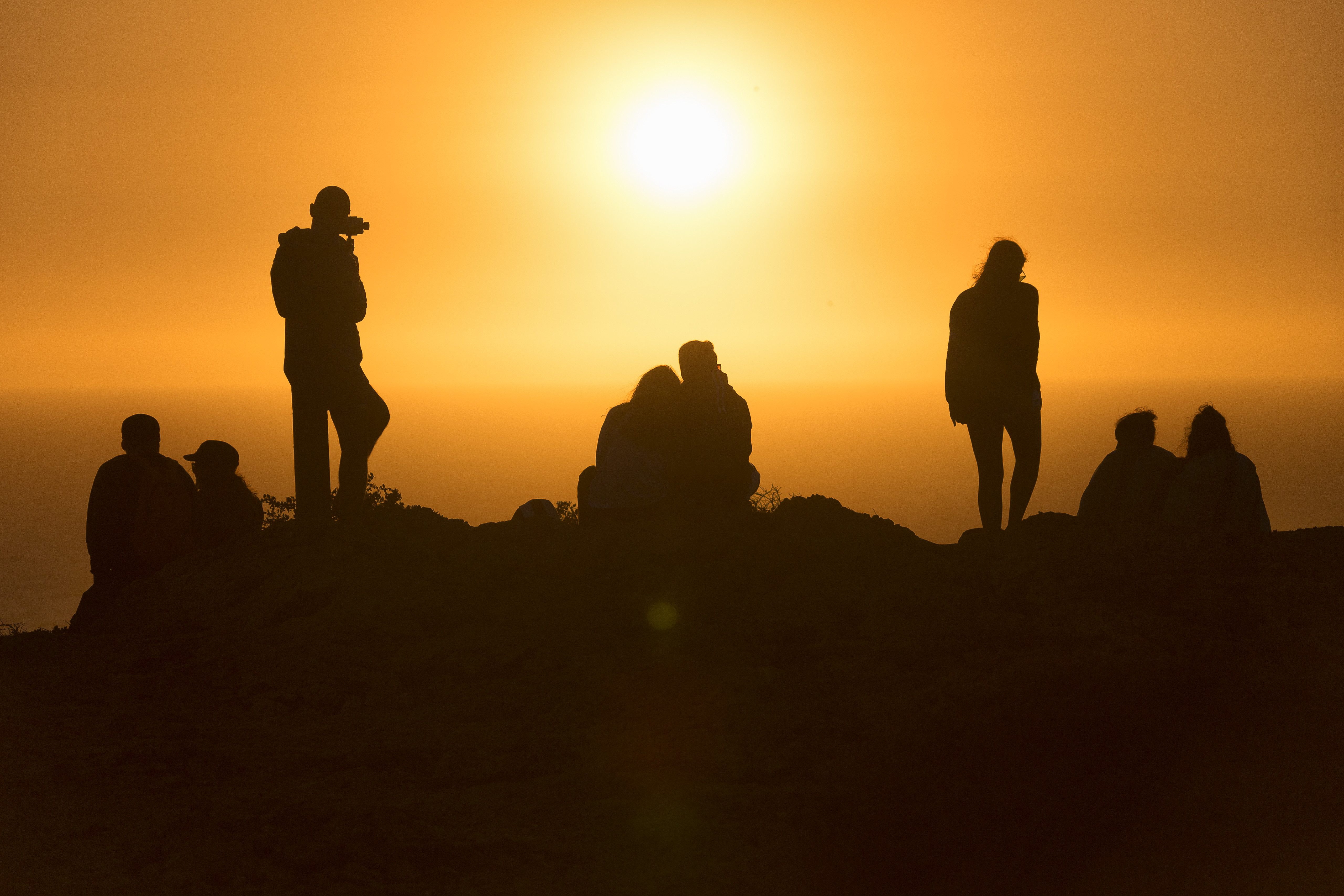 The birth of a new platform to bring Ecology closer to society