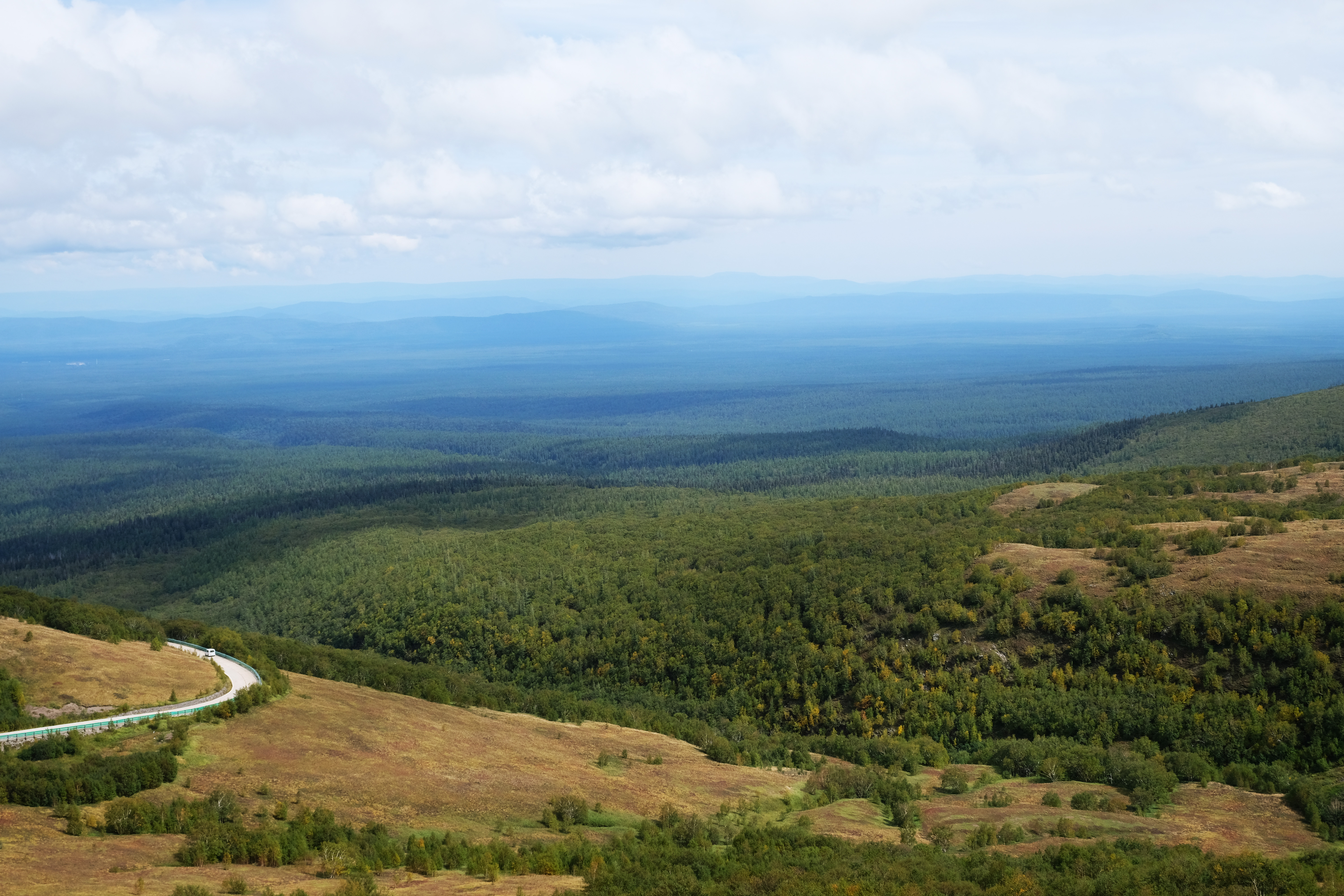 Decipher the code of ectomycorrhizal fungal distributions along the timberline: the roles of island effects and biotic interactions