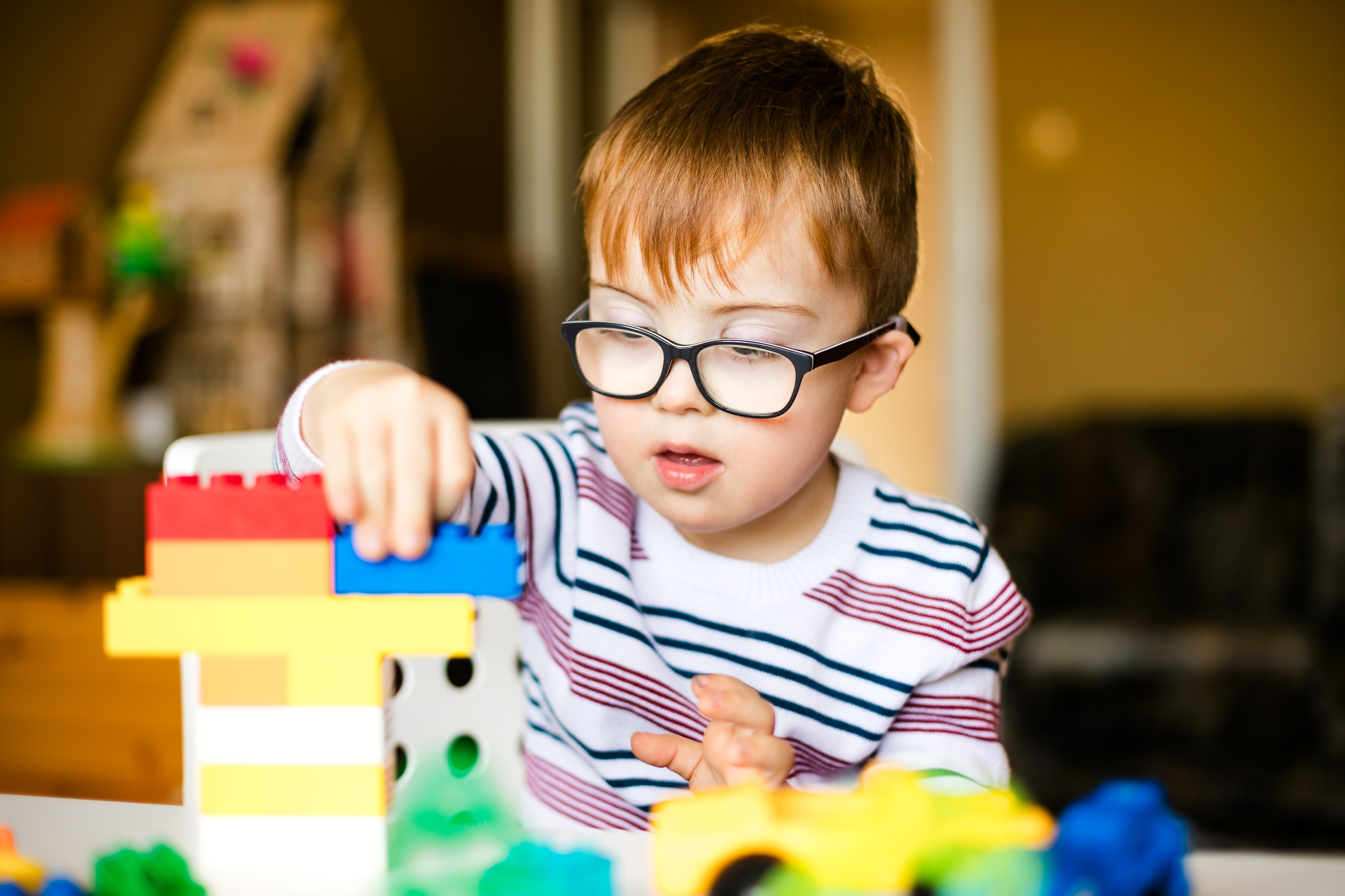 FREE parent/carer guides to EHCPs