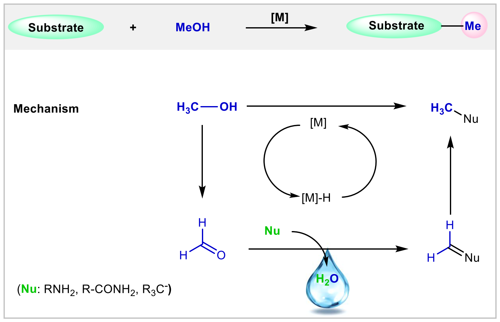 The use of methanol as a C1 building block