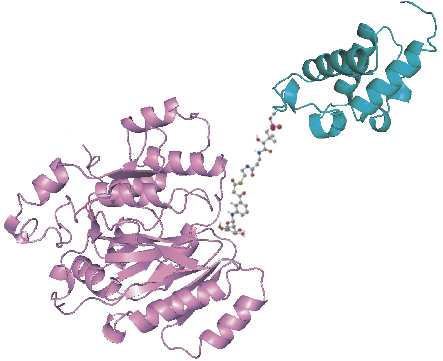 From Drug Discovery to Biosynthetic Studies of Pactamycin