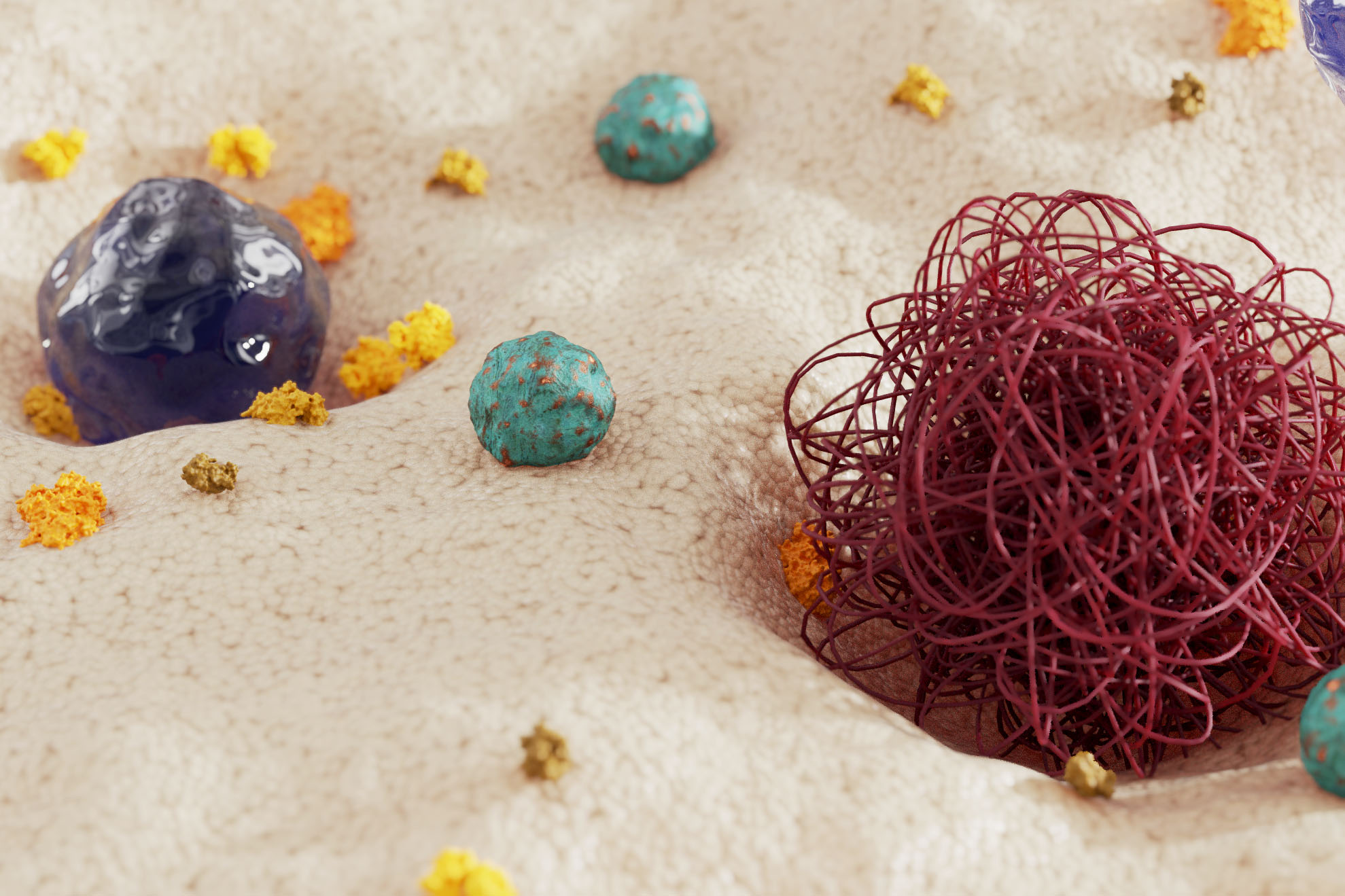 Nanoparticle endocytosis - a critical evaluation of concepts and methods