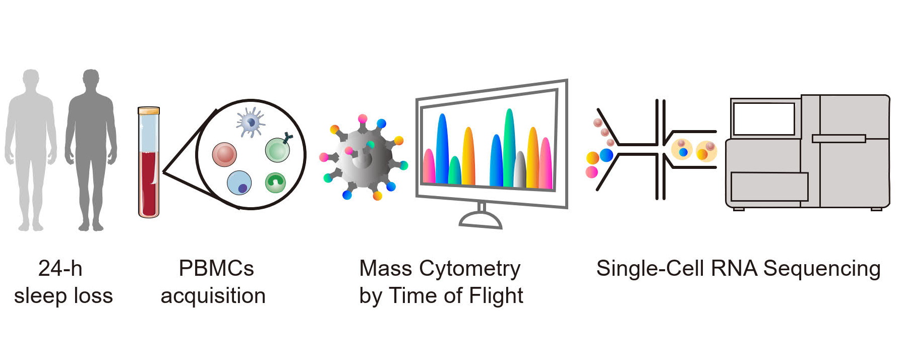 Poor sleep reprograms the human immune landscape toward inflammatory, aging and autoimmune phenotypes