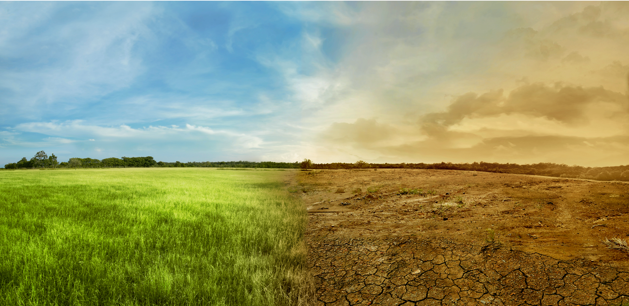 Temperature extremes of 2022 and their impact on the European carbon uptake