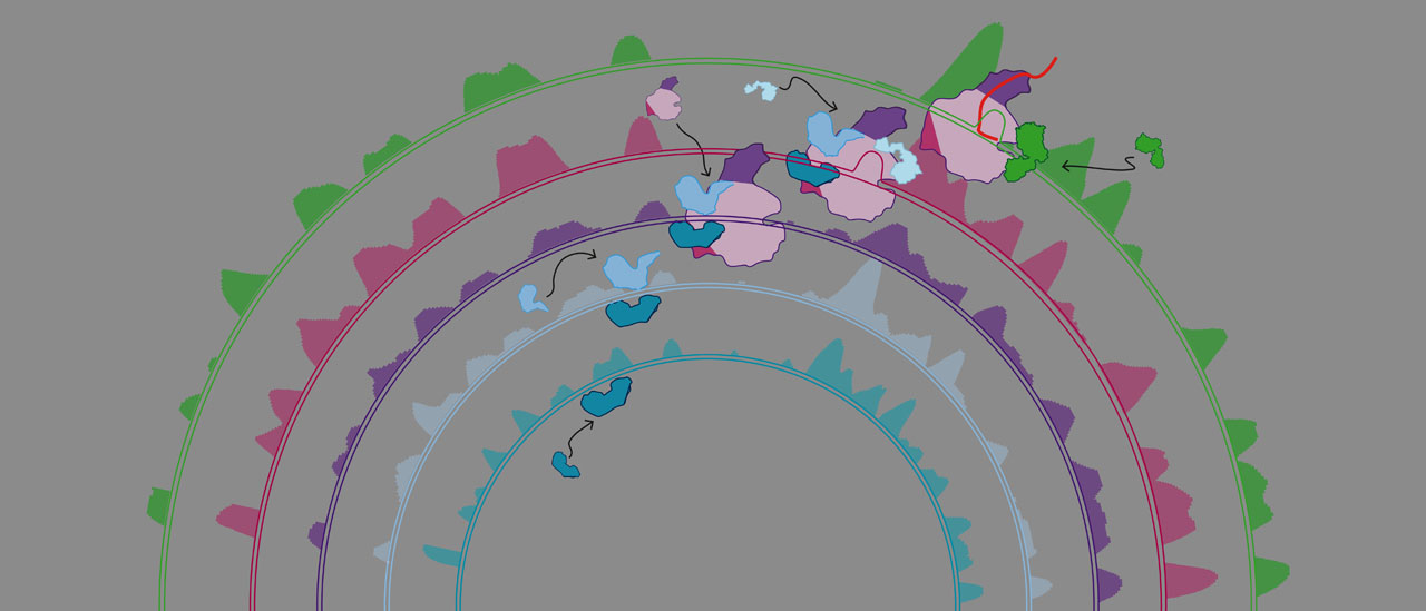 Fundamental biological processes from extremes