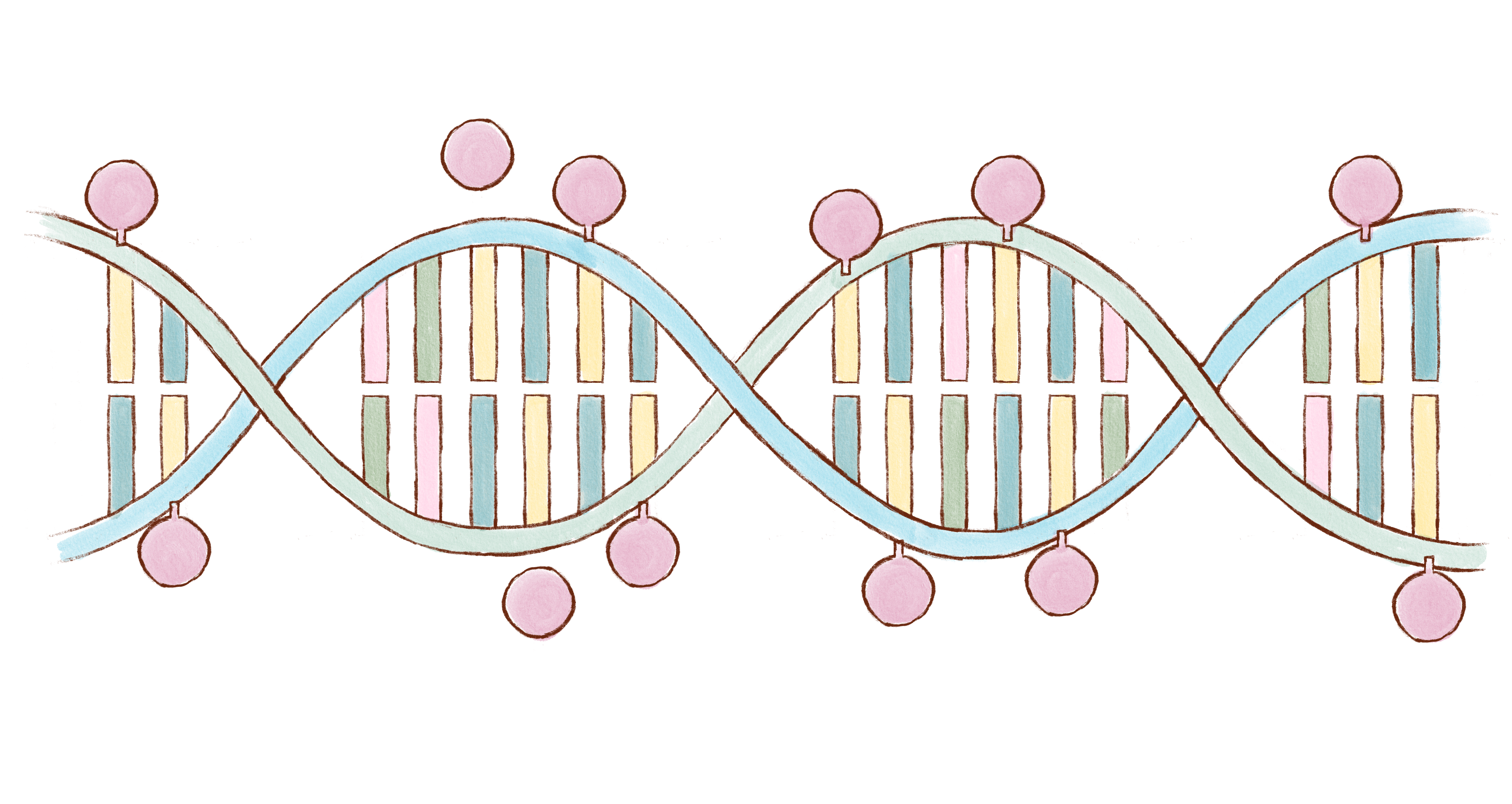 Transgenerational Epigenetics: Why is it important?