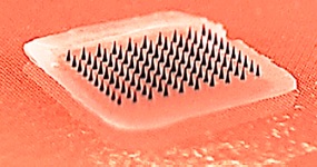 A dissolving microneedle patch for flu vaccination