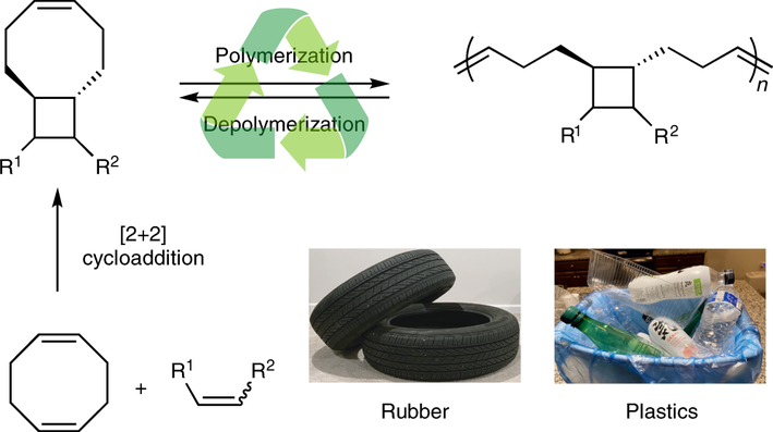 Depolymerizable ROMP polymers discovered through ring strain calculations