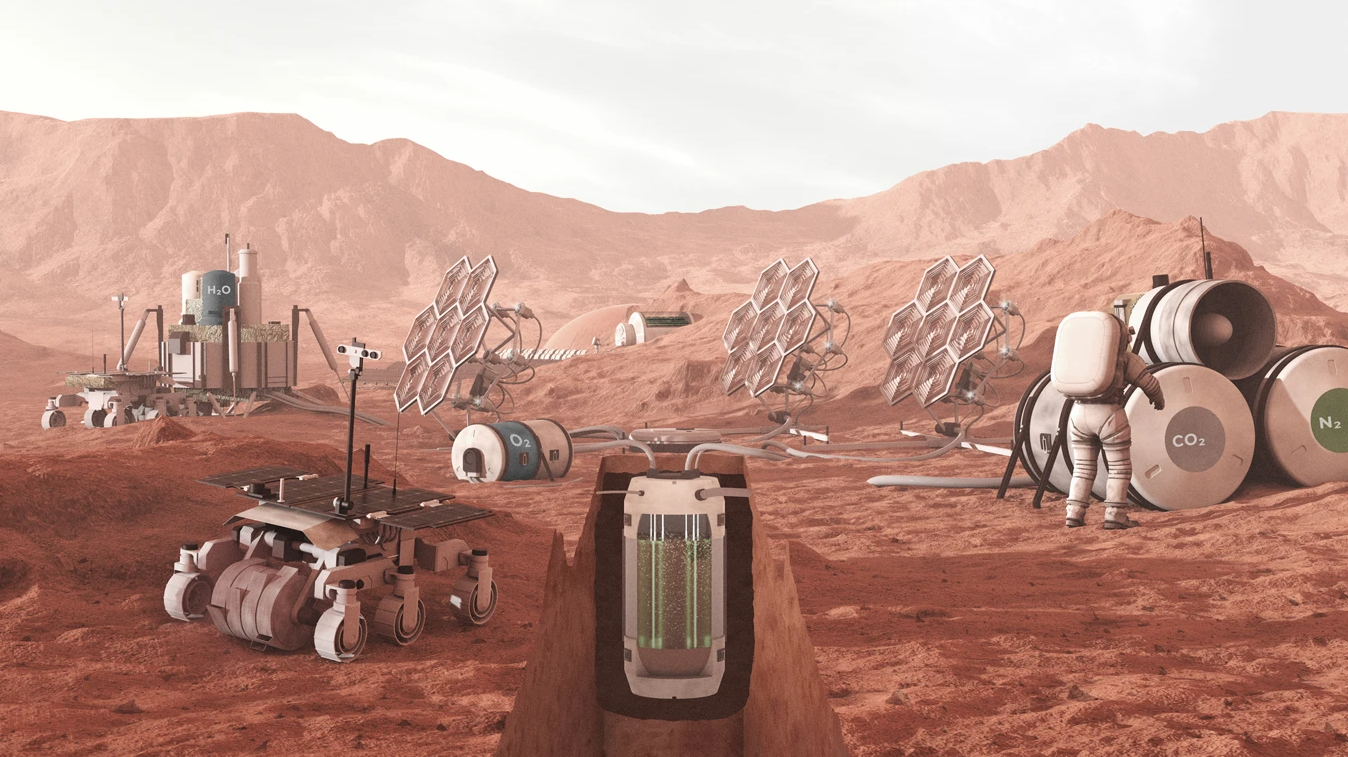 Growing cyanobacteria on Mars
