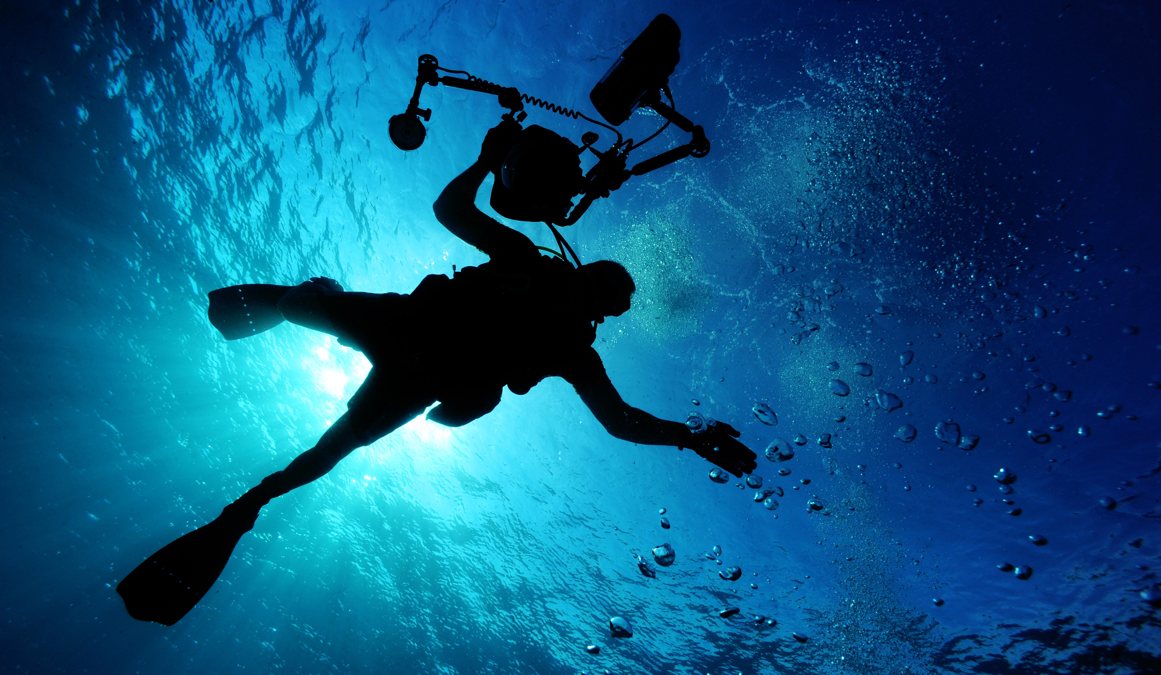How to become a marine biologist?