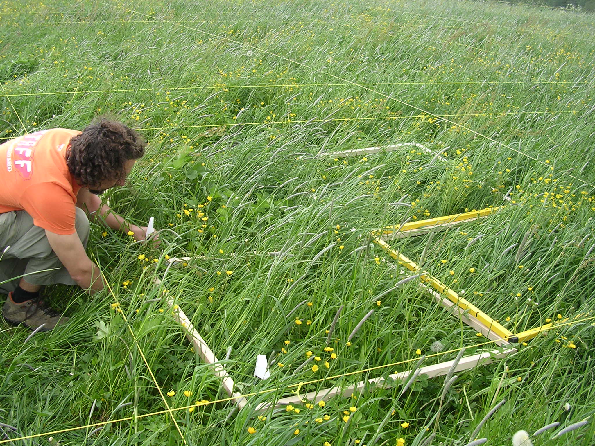 Plant diversity at local and landscape scales supports grassland functioning