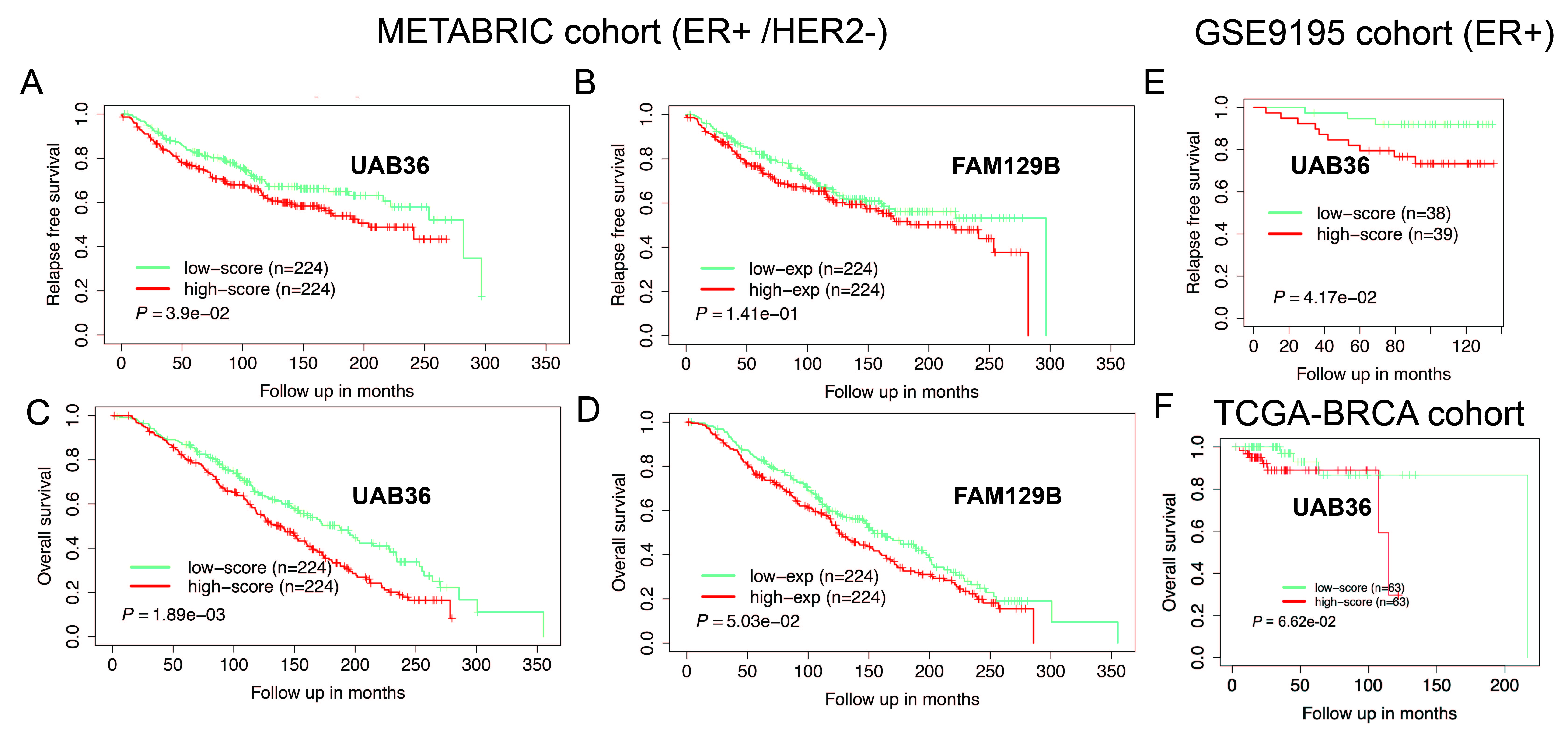 Development of a polygenic score predicting drug resistance and patient outcome in breast cancer