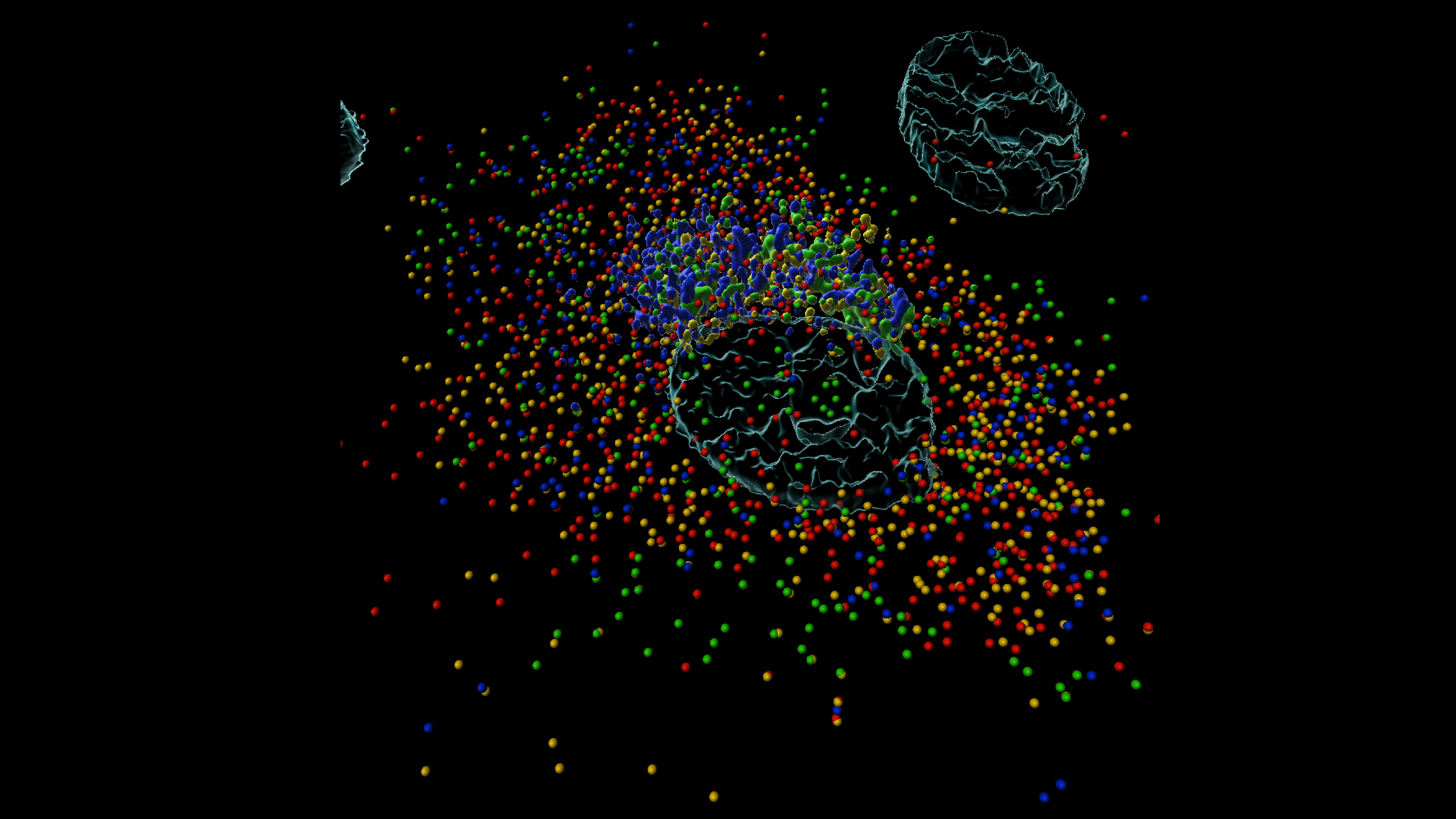A colorful glimpse on a seemingly inefficient, yet highly successful viral life cycle