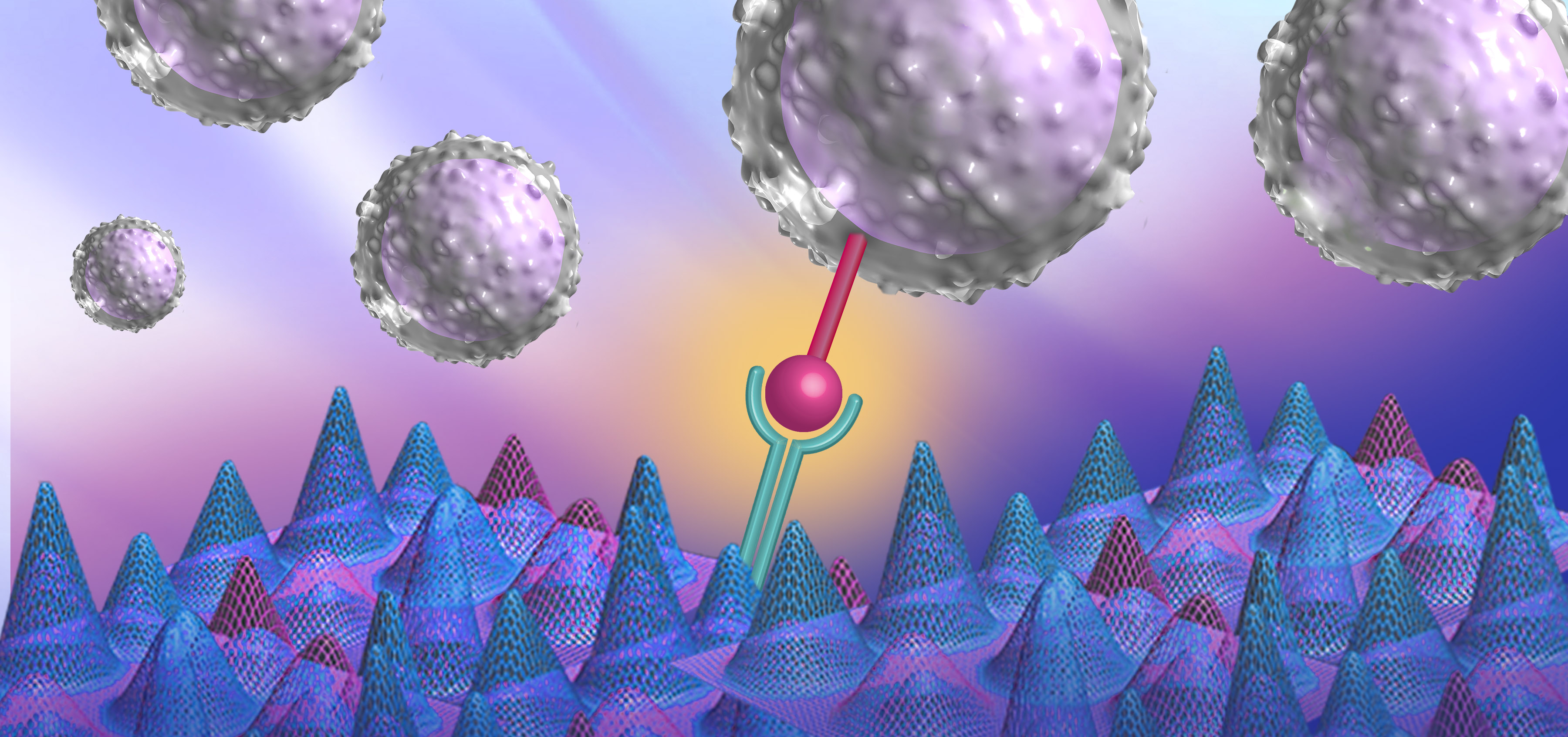 A spectral library for human T-cell proteins