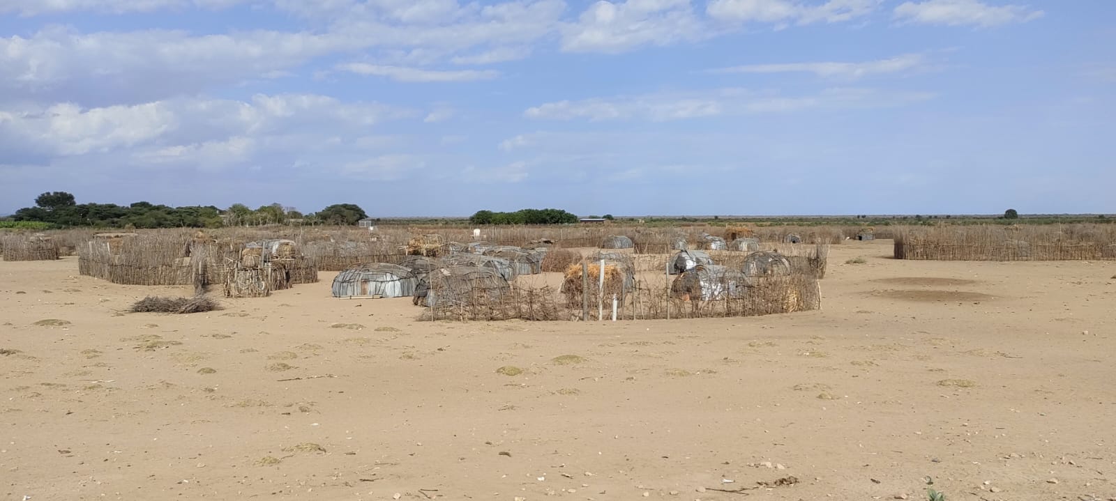  Extreme Weather Events and Pediatric Malnutrition