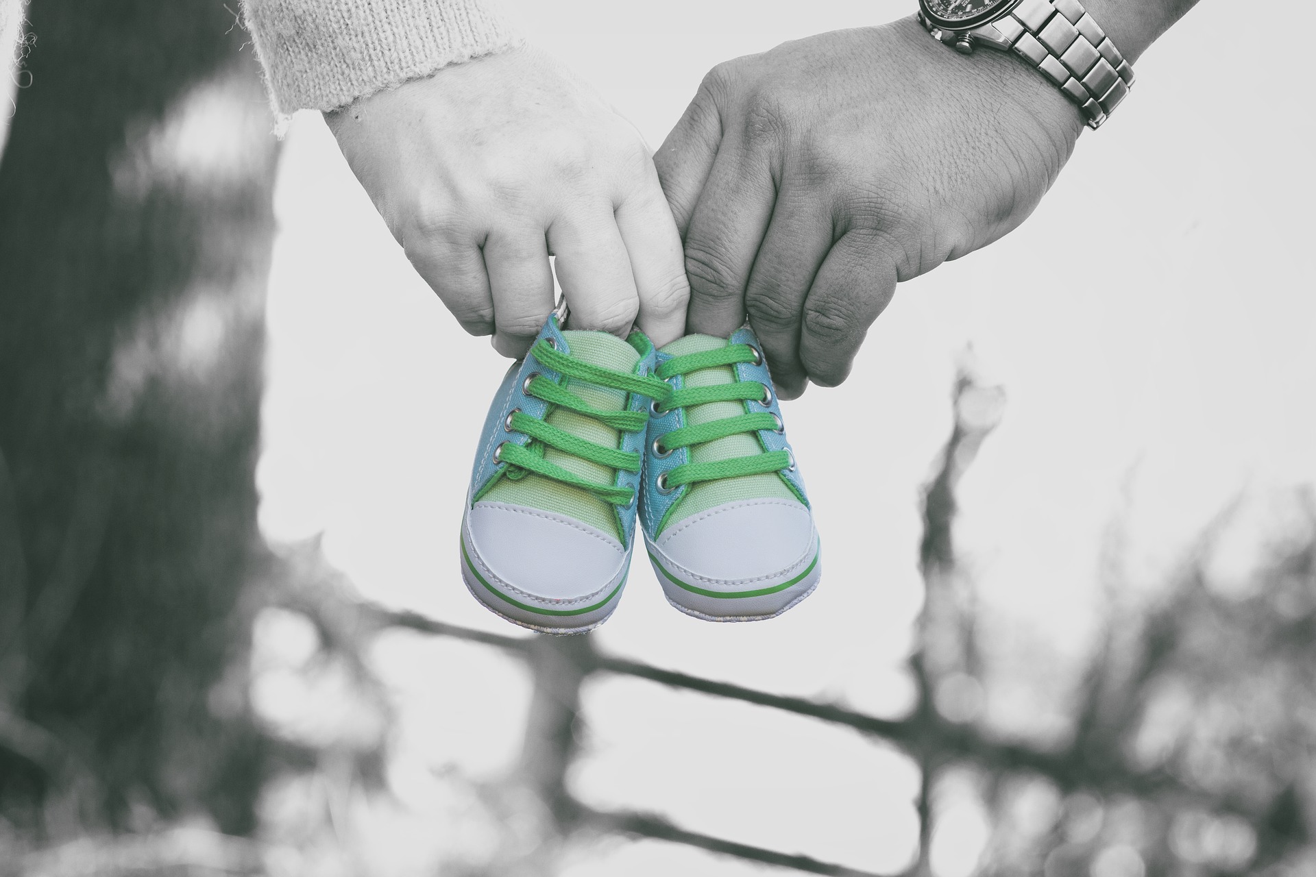 What to expect (from your PI and yourself) when you are expecting