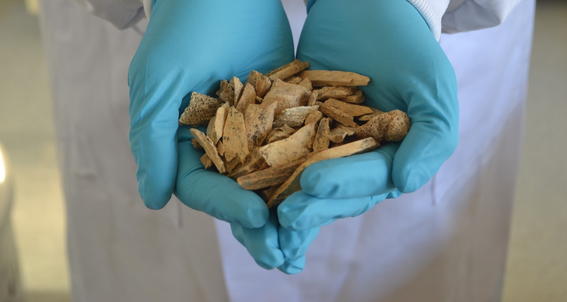 Using fragmented bone to reconstruct the lifeways of Homo sapiens in northwest Europe more than 45,000 years ago.